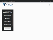 Tablet Screenshot of borrink.com